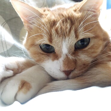 写真はちょっと苦手です