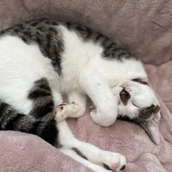 初めてのワクチン接種