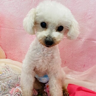 幸せみつかりました！