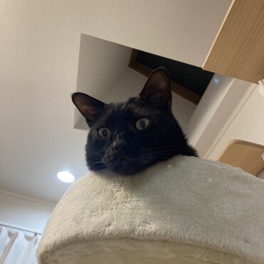 上からジーーーっ