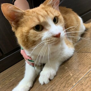 里親様決まりました！