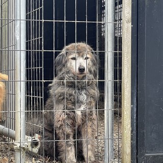 急募！5月20日まで！