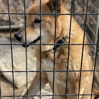 急募！5月20日まで！