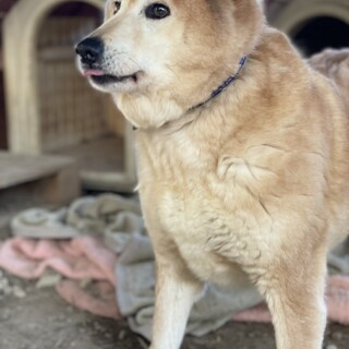 急募！5月20日まで！