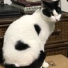 子育てを頑張ったお茶目なママン サムネイル5