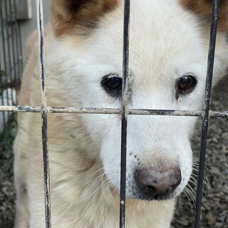 急募！5月20日まで！