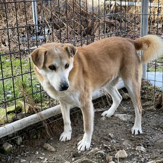 急募！5月20日まで！