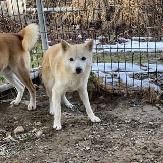 急募！5月20日まで！