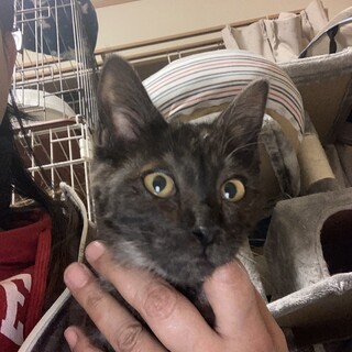 遊びに夢中なお転婆ちゃん