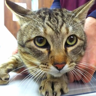 人懐っこさ抜群の男の子