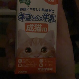 カッコ良いお顔なのに甘えん坊★ソマリ男の子