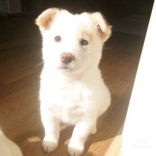 ◆募集停止◆マイペースな不思議っ子“まなちゃん”