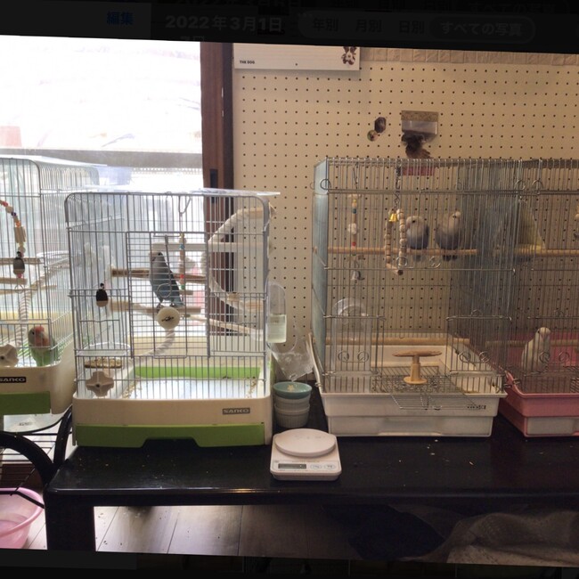 ぐぅ&ずぅのカバー写真