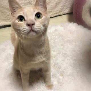 甘えん坊の女の子☆