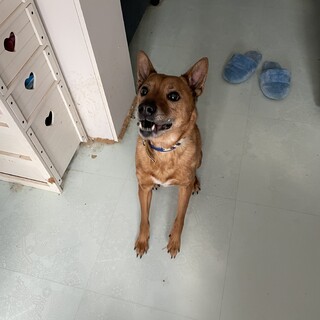 急遽！5月20日まで！