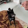 急募！5月20日まで！ サムネイル2