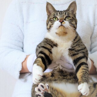 甘えん坊で元気いっぱい☆そらちゃん