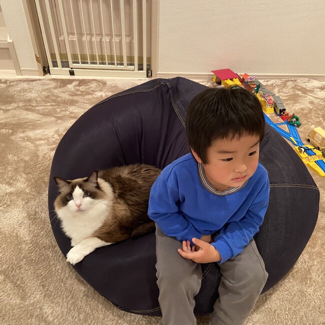ちあどんのカバー写真