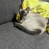 の写真