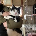 うし君。緊急里親募集中！！