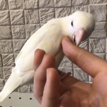 イチャイチャタイム