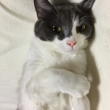 の写真