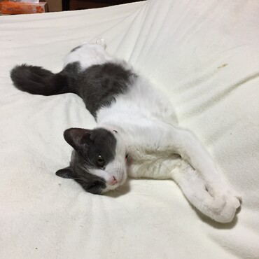 の写真