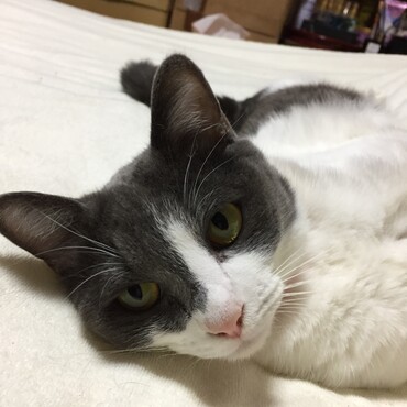の写真