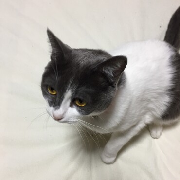 の写真