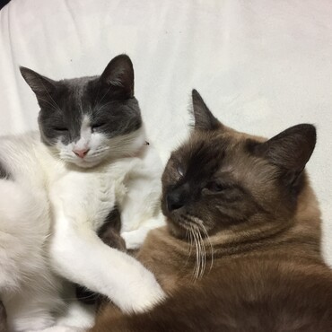 の写真