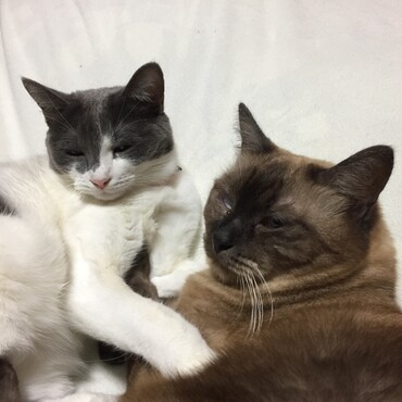 の写真