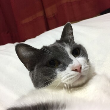 の写真
