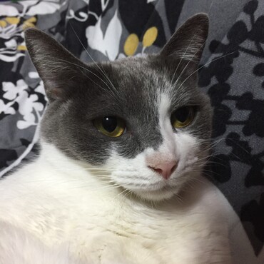 の写真