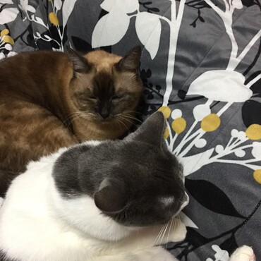 の写真