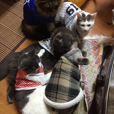 の写真
