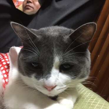 の写真
