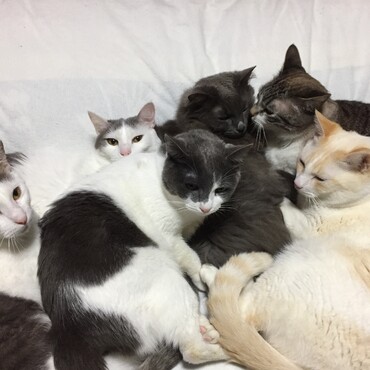 の写真