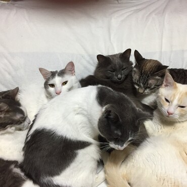 の写真