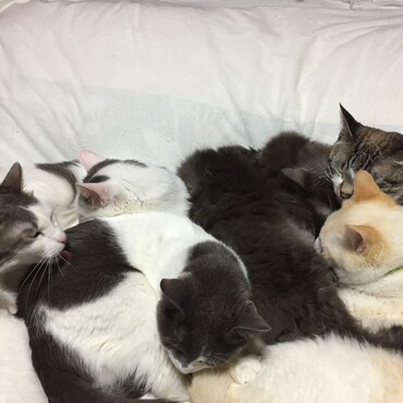 の写真