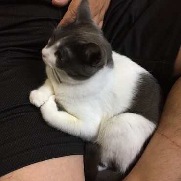 の写真