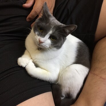 の写真