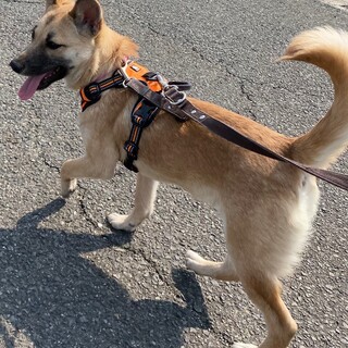 ご家族が決まりました！