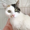 美少女　お見合い可能です❗️