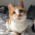 まんまる可愛いせとかちゃん♡