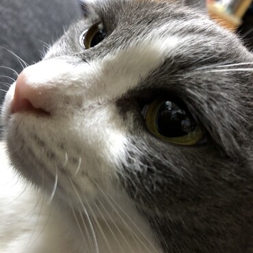 I miss you….. Baby