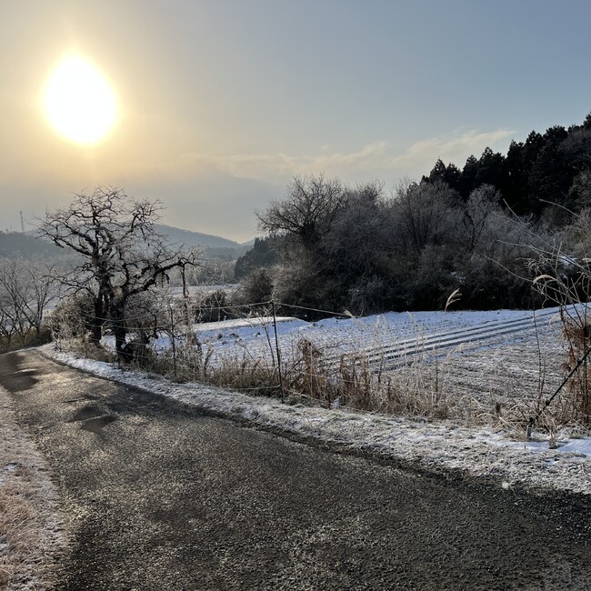 えん太郎のカバー写真