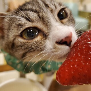 愛嬌たっぷりるびーﾁｬﾝ♀️