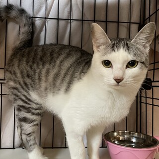 ぎゅっと抱き締めて♡ハグされてる柄のハグさん