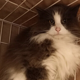 ☆❣️家族が決まりました❣️☆