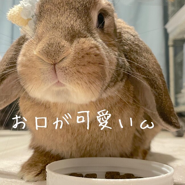 るぷ06のカバー写真